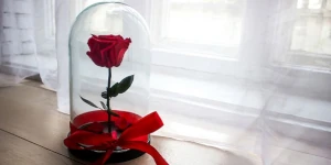 Ir a la categoría de Rosas eternas