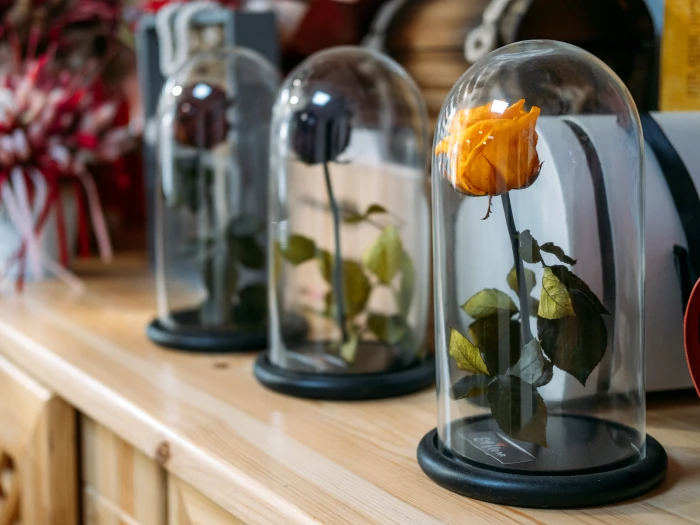 Cúpulas con flores preservadas personalizadas para regalo