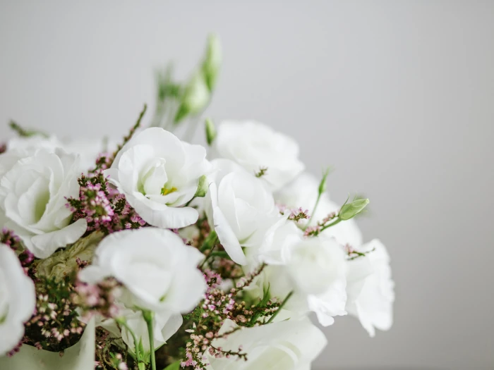 Envío de ramos de flores blancas naturales a domicilio