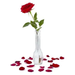Ir al producto: Rosa de sant jordi