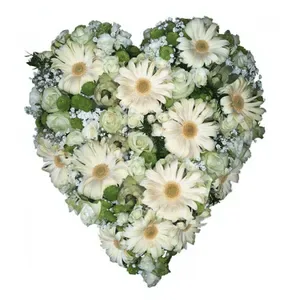 Ir al producto: Corazon blanco de gerberas y rosas