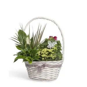 Ir al producto: Cesta de flores pompeya