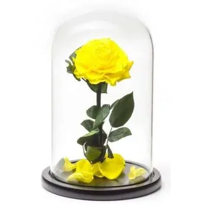Ir al producto: Cupula luxury rosa amarilla 30 cm