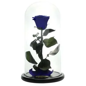 Ir al producto: Cupula luxury rosa azul 30 cm