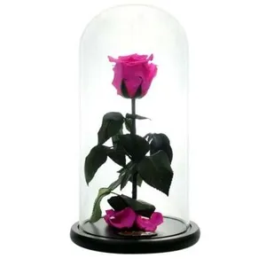 Ir al producto: Cupula luxury rosa fucsia 30 cm
