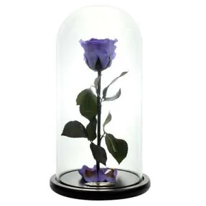 Ir al producto: Cupula luxury rosa morada 30 cm