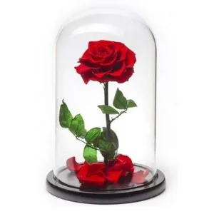 Ir al producto: Cupula luxury rosa roja 30 cm