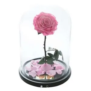 Ir al producto: Cupula luxury rosa rosada 30 cm