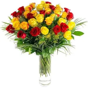 Ir al producto: 97620 rosas rojas y amarillas