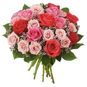Ir al producto: 97595 ramo de rosas rojas y rosadas