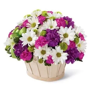 Ir al producto: Cesta de flores novara