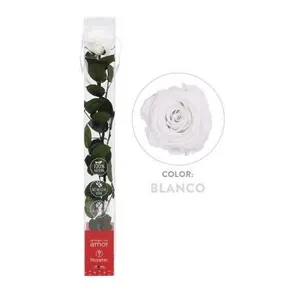 Ir al producto: 111224 rosa blanca preservada 100 natural