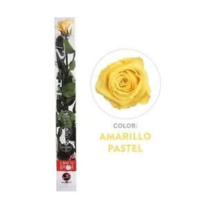 Ir al producto: 111222 rosa amarilla preservada 100 natural
