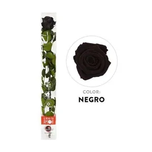 Ir al producto: 111733 rosa negra preservada 100 natural
