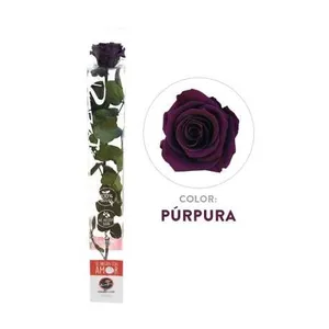 Ir al producto: 111228 rosa morada preservada 100 natural