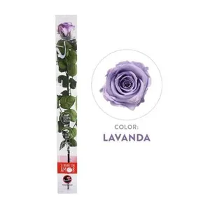 Ir al producto: Rosa lavanda preservada 100 natural