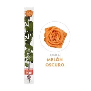 Ir al producto: 111232 rosa naranja preservada 100 natural