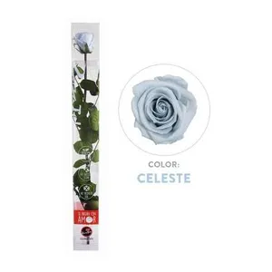Ir al producto: 111234 rosa celeste preservada 100 natural