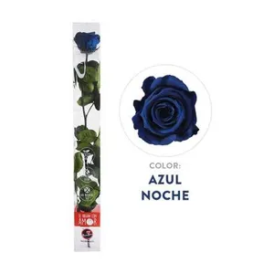 Ir al producto: 111238 rosa azul preservada 100 natural