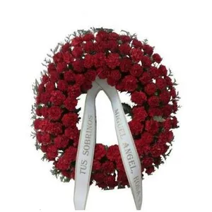 Ir al producto: Corona funeraria de claveles rojos