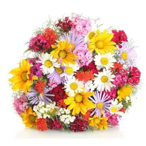 Ir al producto: Ramo de flores tirol