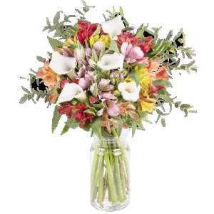 Ir al producto: Ramo de flores aquisgran