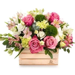 Ir al producto: Cesta de flores vitoria