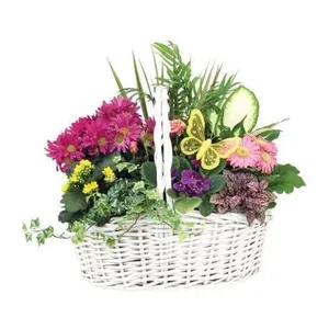 Ir al producto: Cesta de plantas charlestone